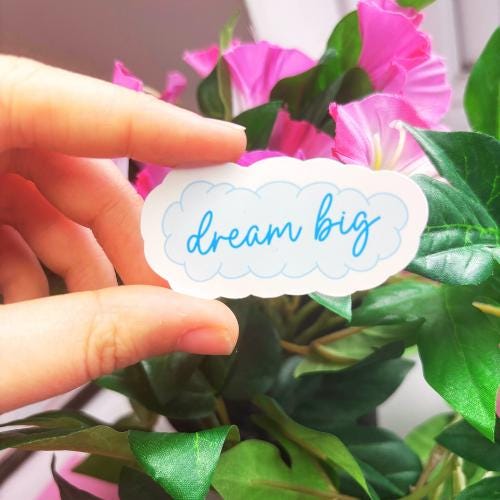 Hand holding a 'dream big' sticker in front of pink flowers and green leaves